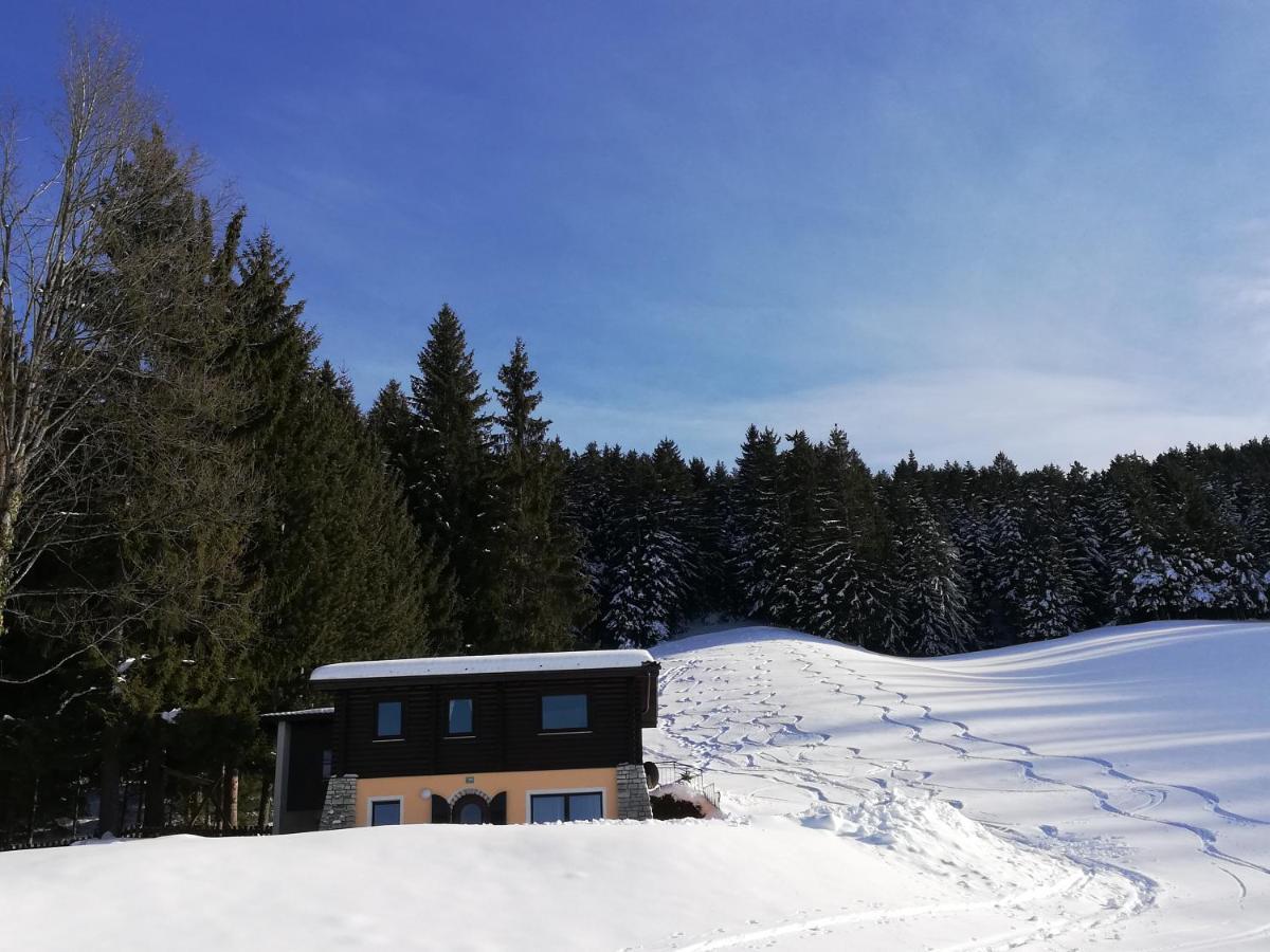 Apartment Angerlgut *
